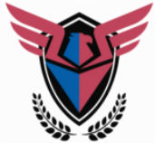 3156LLC
